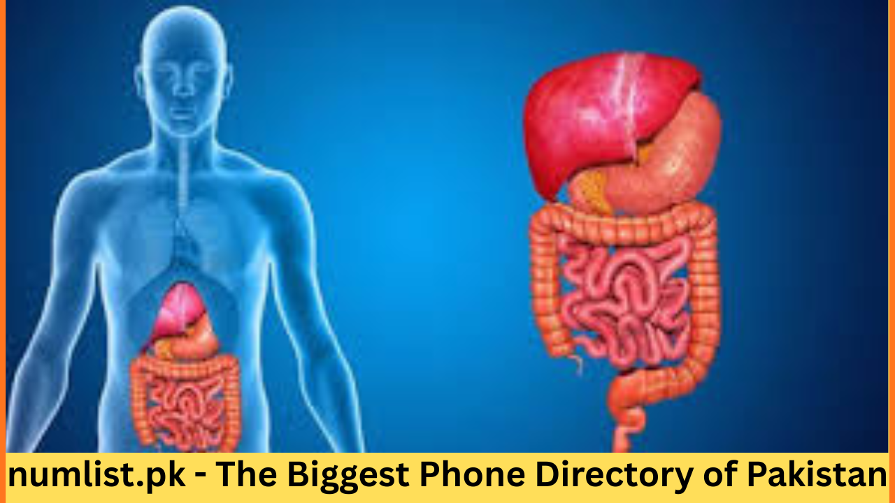 Prof. Dr. Muhammad Asif Gul 